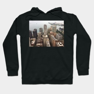 Chicago view 001 Hoodie